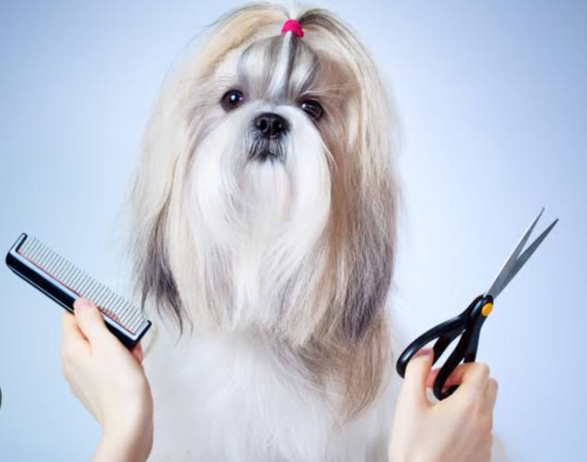 WhatsApp Image 2025-08-29 at 15.59.05.jpeg